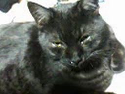 a0044841_22282390.jpg