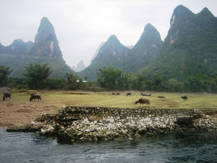 f0070743_16281330.jpg