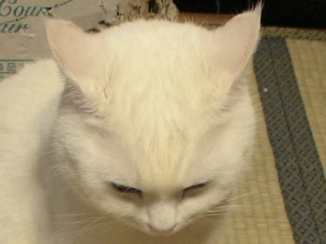 b0097145_0152099.jpg