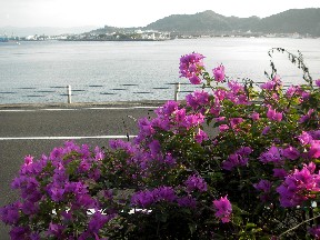 c0047856_22452543.jpg