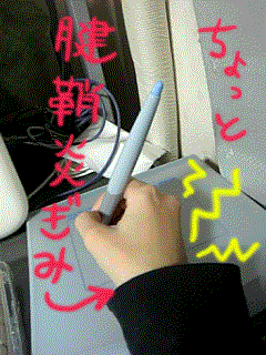 b0045759_4353229.gif