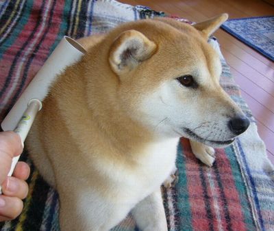 2006年12月28日(木)・・・朝からエステ_f0060461_18262330.jpg