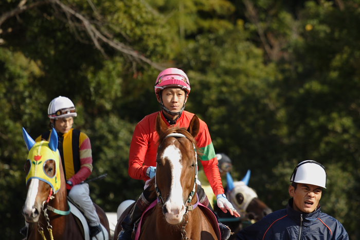 2006年12月17日(日) 高知競馬 2R 3R_a0077663_18171938.jpg