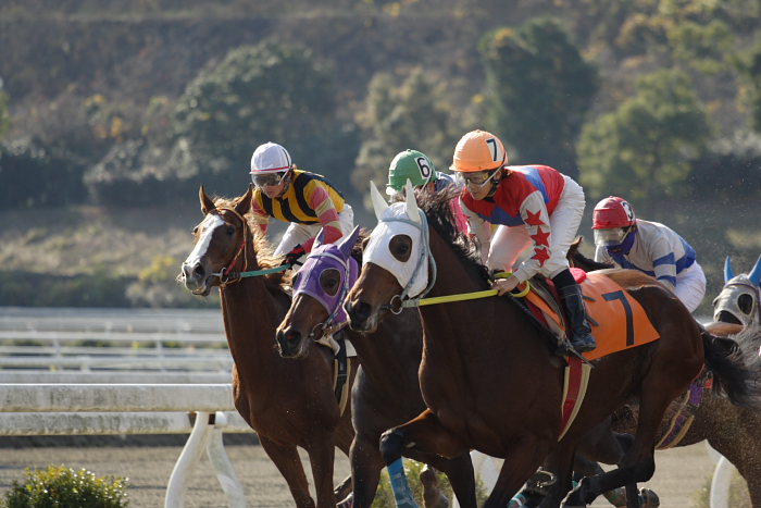 2006年12月17日(日) 高知競馬 2R 3R_a0077663_18173729.jpg