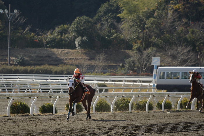 2006年12月17日(日) 高知競馬 2R 3R_a0077663_18175156.jpg