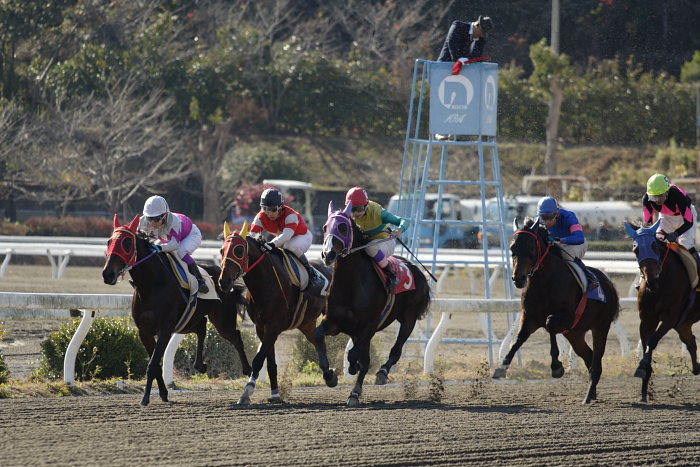2006年12月17日(日) 高知競馬 2R 3R_a0077663_18183875.jpg