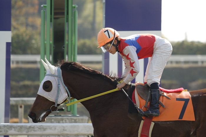 2006年12月17日(日) 高知競馬 2R 3R_a0077663_1818533.jpg