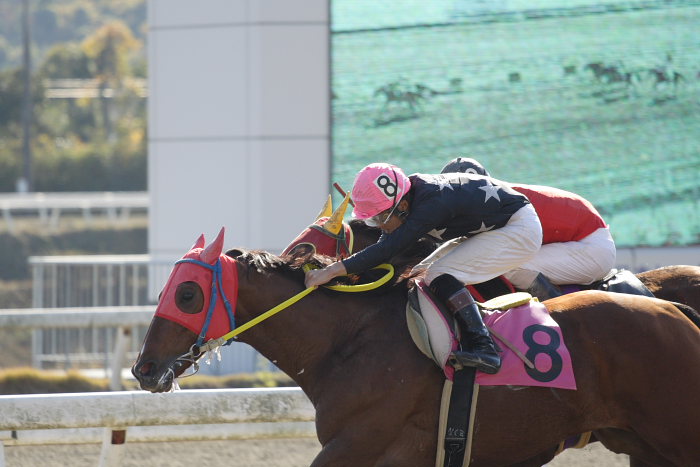 2006年12月17日(日) 高知競馬 2R 3R_a0077663_18215661.jpg