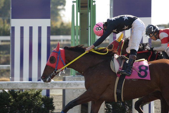 2006年12月17日(日) 高知競馬 2R 3R_a0077663_18232051.jpg
