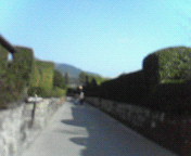 f0043275_21475837.jpg