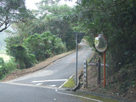安脚場・諸鈍間の林道、開通しました!_e0028387_2316818.jpg