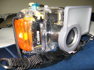 a0087302_2245599.jpg