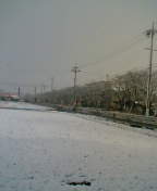 e0061304_9363626.jpg