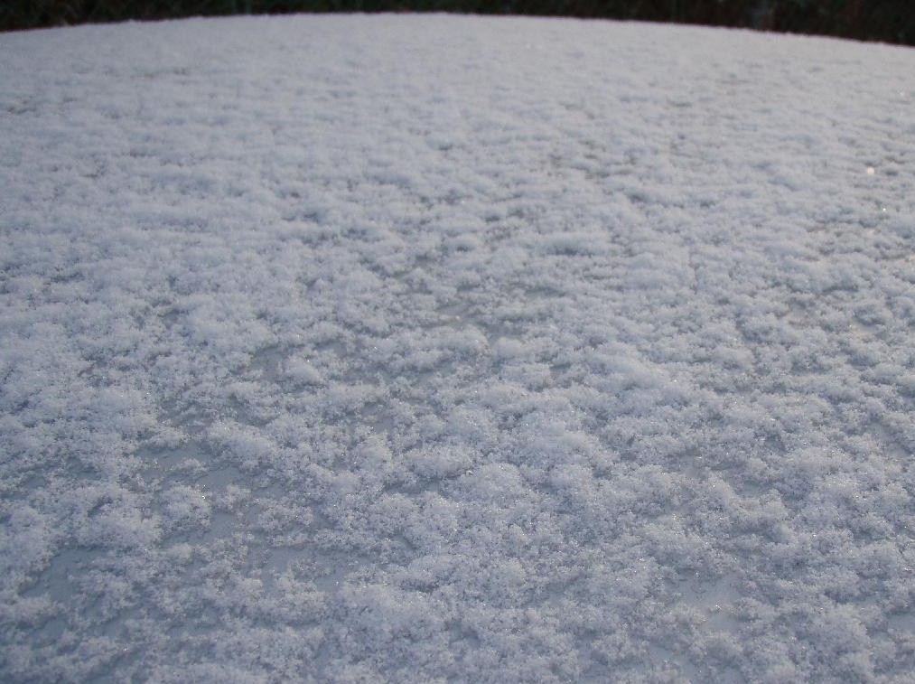 初雪　　　朝にゆくぼたん雪がちらほらと_d0051106_22384964.jpg