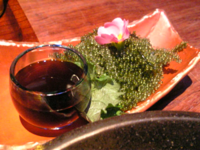 b0089007_17345960.jpg