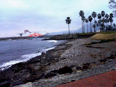 a0054924_23425363.jpg