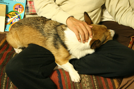 e0071225_0482753.jpg