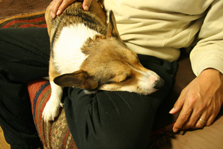 e0071225_051015.jpg