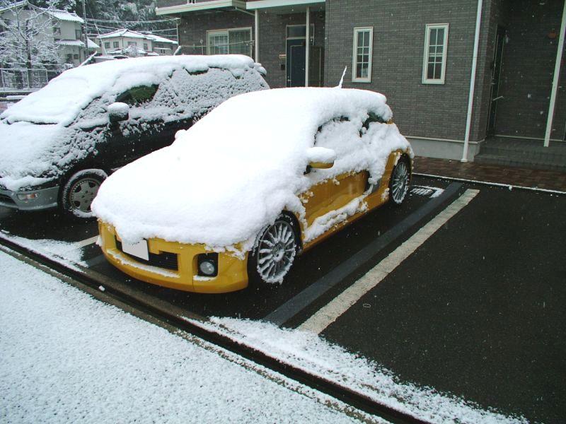 昨日からの雪、そして今朝の二台は_d0102529_8282755.jpg