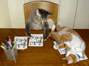 a0015730_20301696.gif