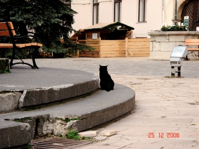 a0072247_2344857.jpg