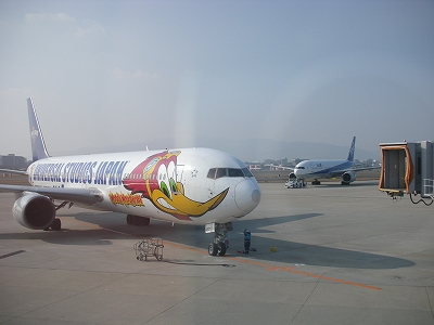 d0087054_552433.jpg