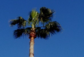 c0047856_81119.jpg