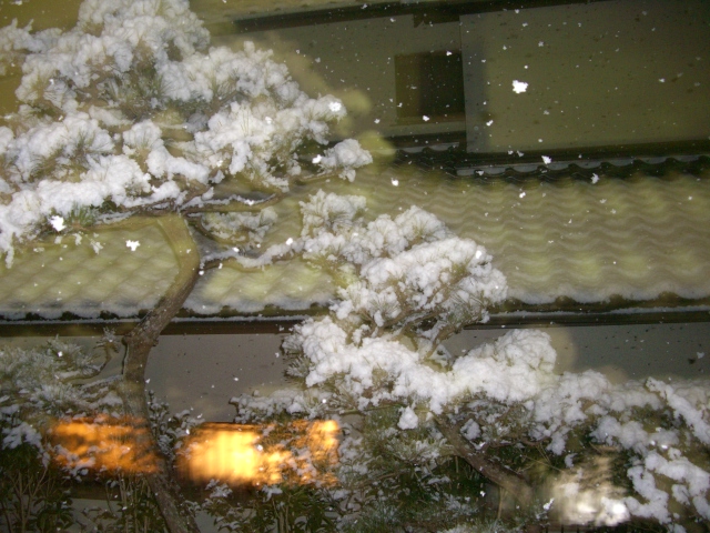 f0106759_7161752.jpg