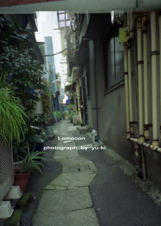d0071962_46304.jpg