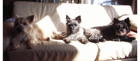 e0030663_2222390.gif