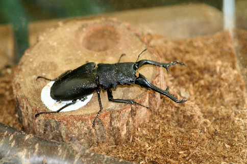 f0000866_75439.jpg