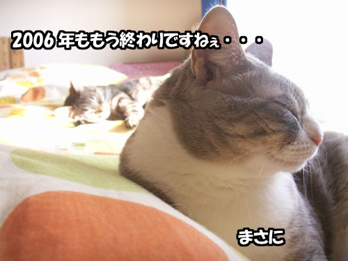 今年も・・・_b0083267_16273958.jpg