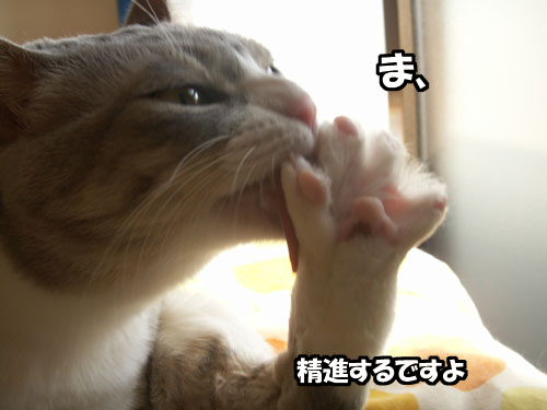 今年も・・・_b0083267_162831100.jpg