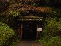 d0004195_1813459.jpg