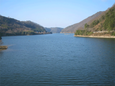 b0108100_16405213.gif