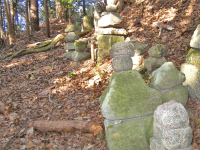 b0108100_1641357.gif