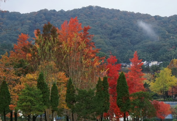 e0039703_071944.jpg