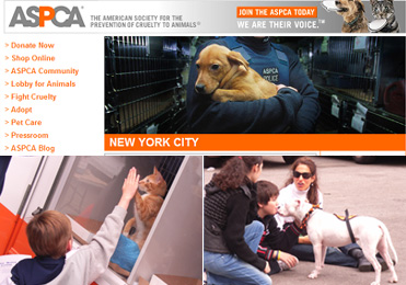 老舗の動物愛護団体 ASPCA _b0007805_23533179.jpg