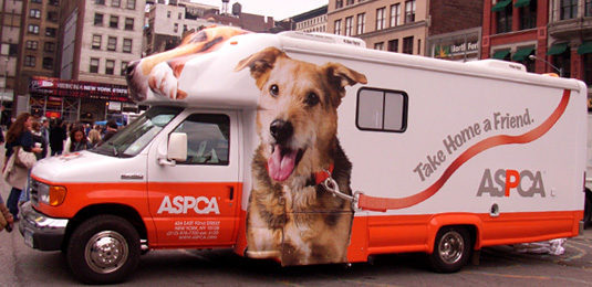 老舗の動物愛護団体 ASPCA _b0007805_23535011.jpg
