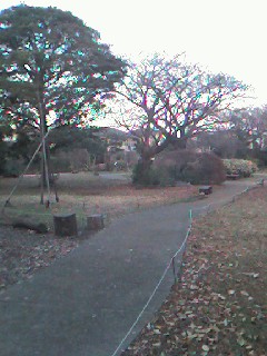 年末・年始休み_b0049307_12464050.jpg