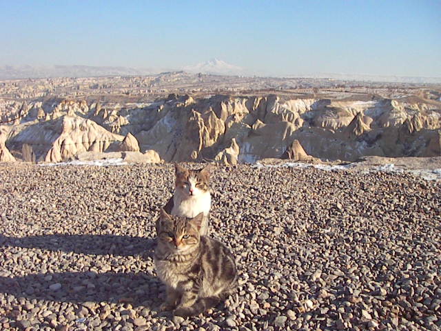 f0038407_3263754.jpg