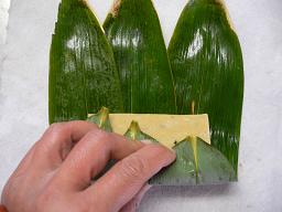 餅のカビ、栃の実の苦味について_d0099708_2054428.jpg