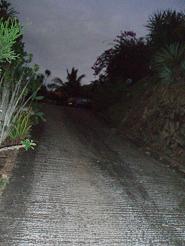 f0124209_102649100.jpg