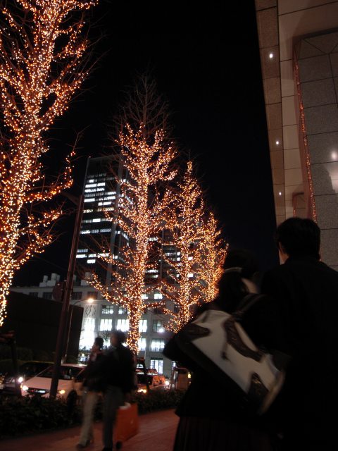 c0071611_2202356.jpg