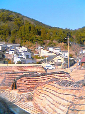 a0054924_2338739.jpg
