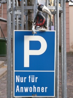 d0014524_16442917.jpg