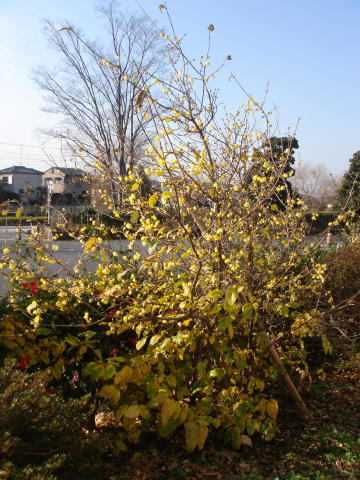 f0023625_21345530.jpg