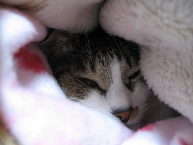 b0088037_0103375.jpg