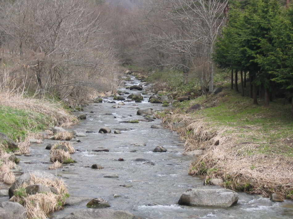 総集編　今年新たに行った場所_d0001843_22403986.jpg