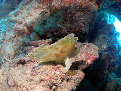 d0065247_21181774.jpg